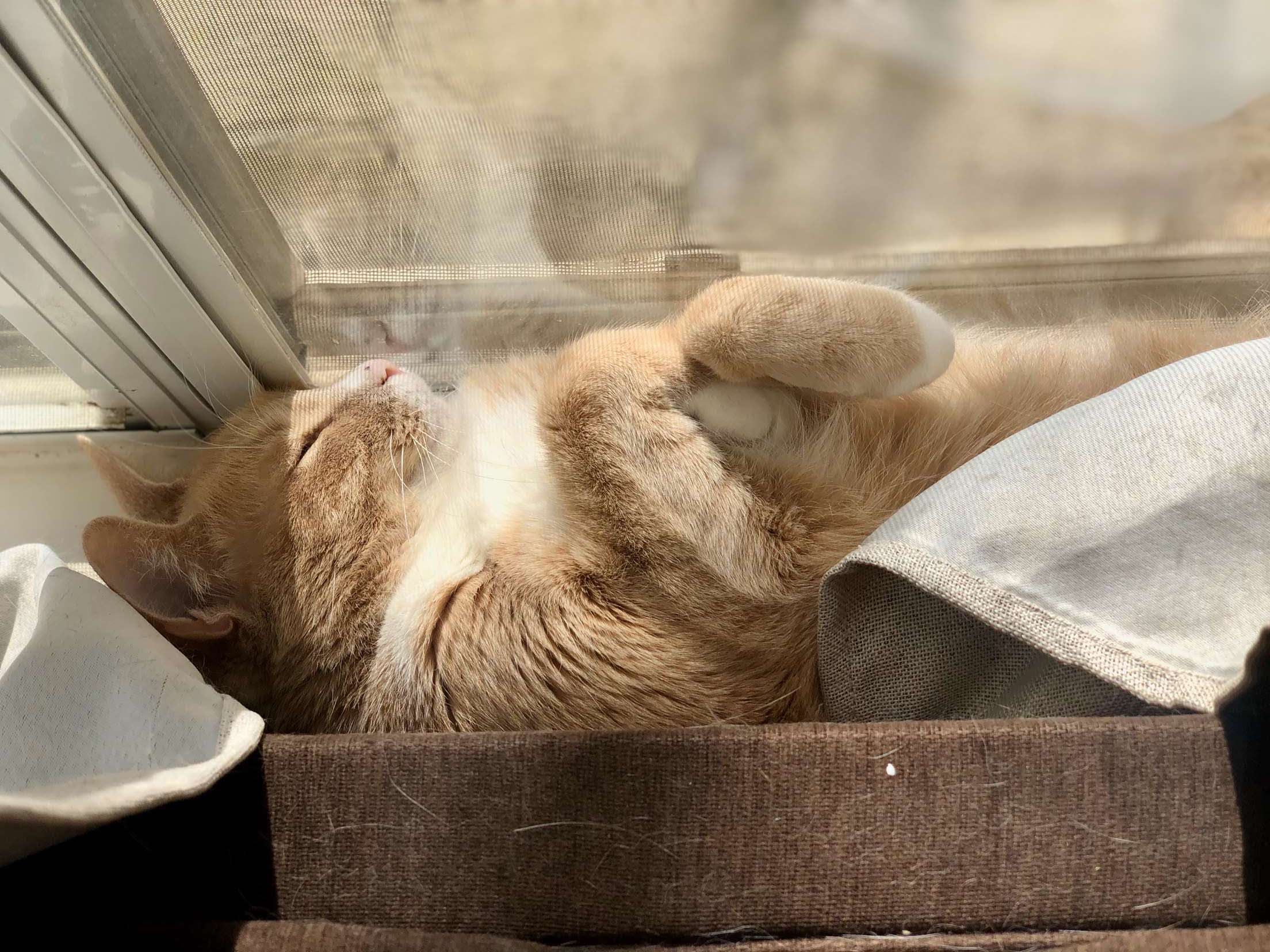 This is Elric.